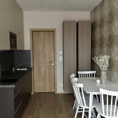 Zlaty Apartman Dolní Morava エクステリア 写真