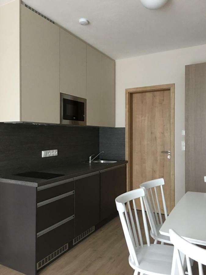 Zlaty Apartman Dolní Morava エクステリア 写真
