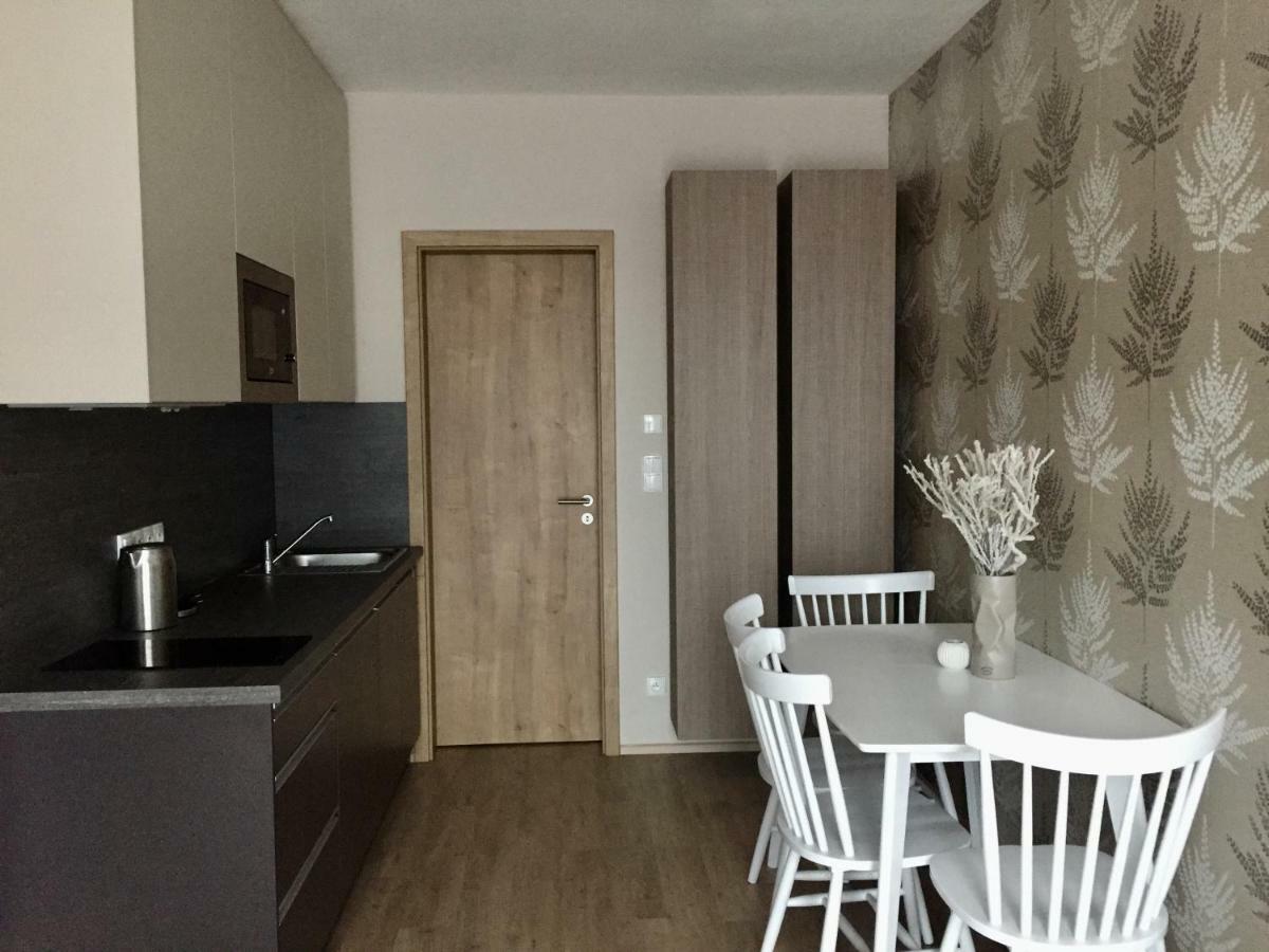 Zlaty Apartman Dolní Morava エクステリア 写真